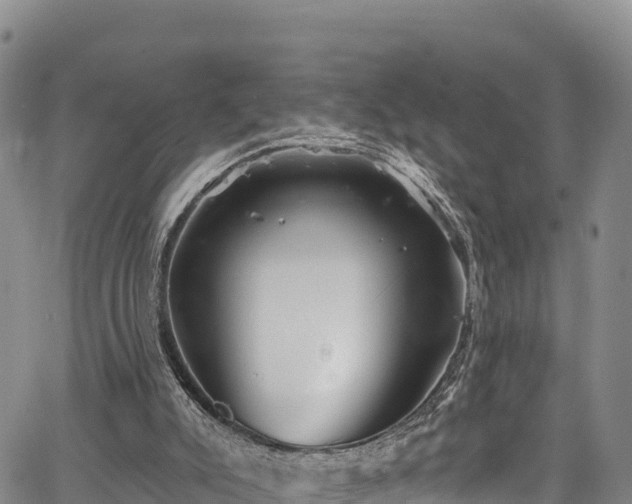 X0000067510007200604101307