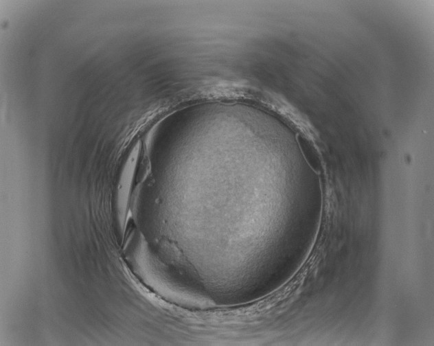 X0000067510009200604101307