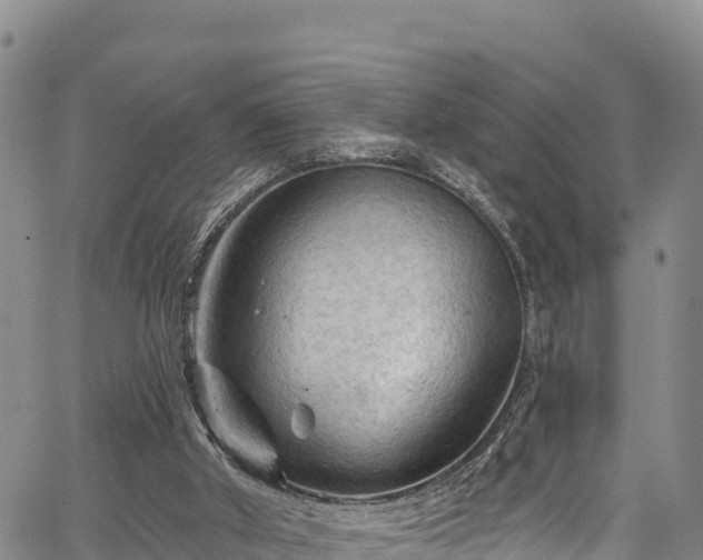 X0000067510010200604101307