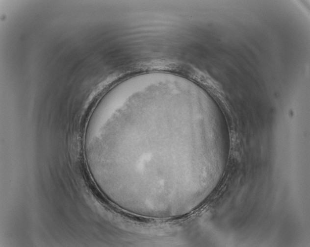 X0000067510012200604101307