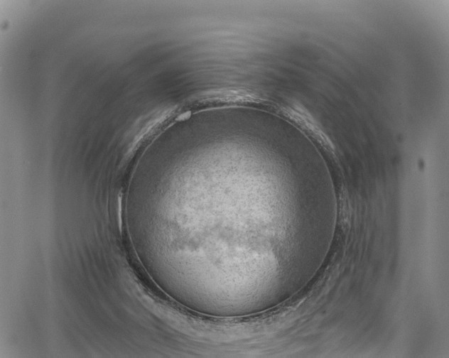 X0000067510014200604101307