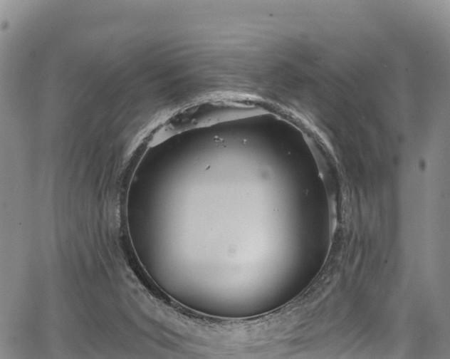 X0000067510015200604101307