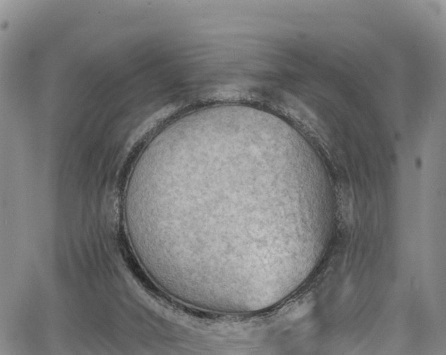 X0000067510016200604101307