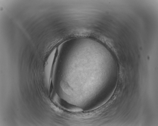 X0000067510017200604101307