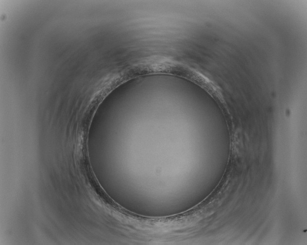 X0000067510018200604101307