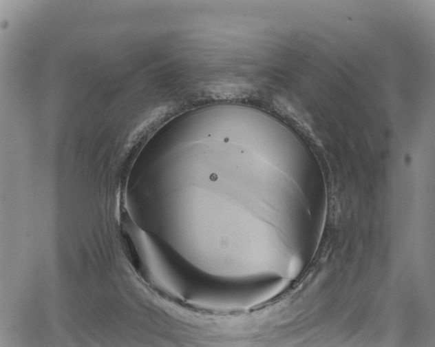 X0000067510019200604101307