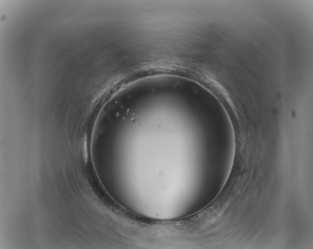 X0000067510020200604101307