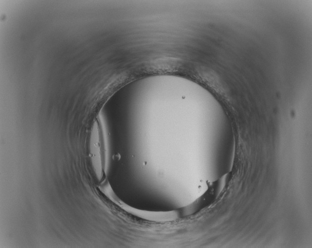 X0000067510021200604101307