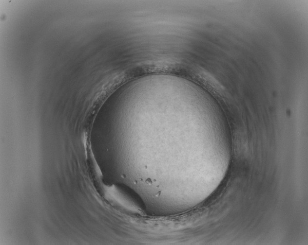 X0000067510022200604101307