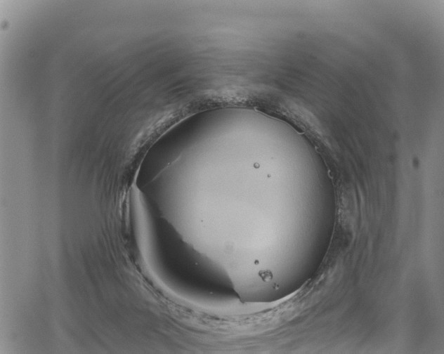 X0000067510023200604101307