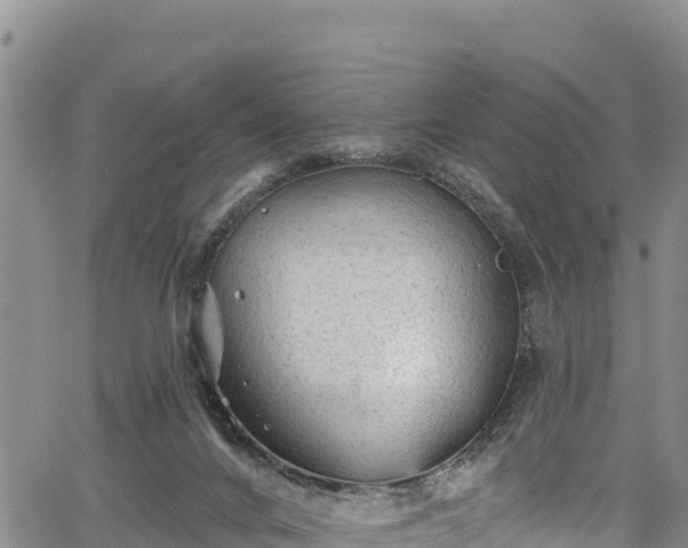 X0000067510024200604101307