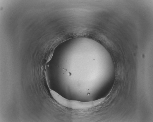 X0000067510025200604101307