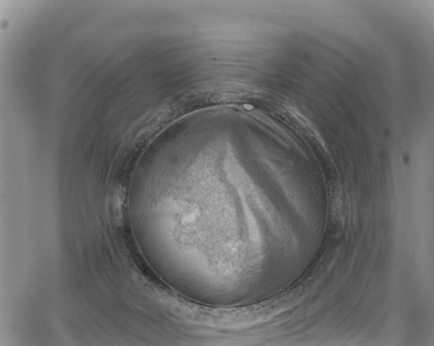 X0000067510026200604101307