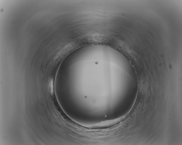 X0000067510027200604101307