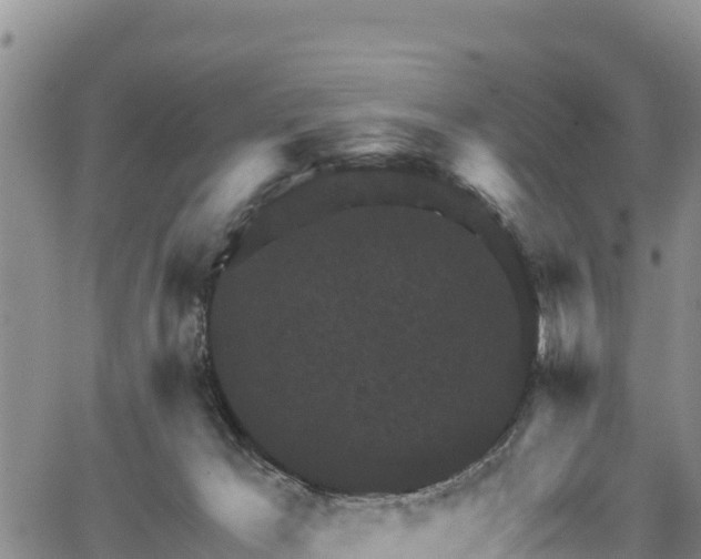 X0000067510029200604101307