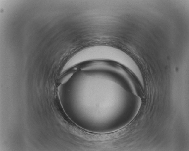 X0000067510031200604101307