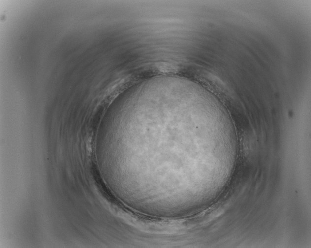 X0000067510032200604101307