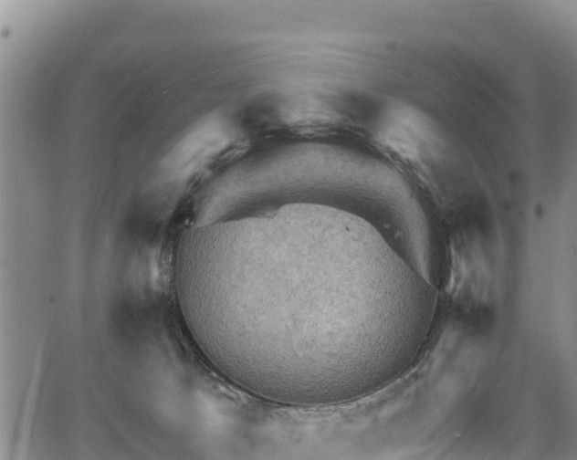 X0000067510033200604101307