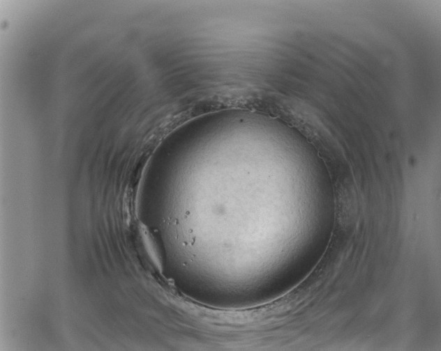 X0000067510034200604101307