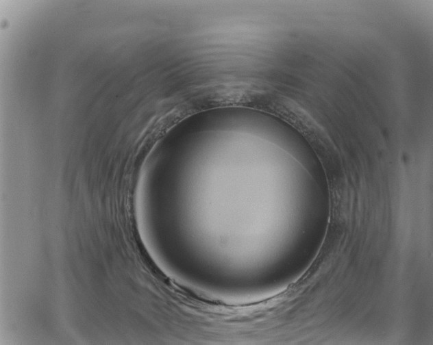 X0000067510035200604101307