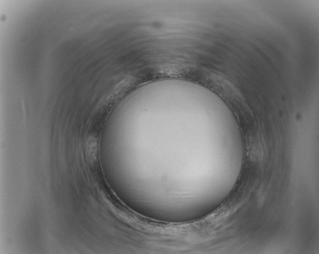 X0000067510036200604101307