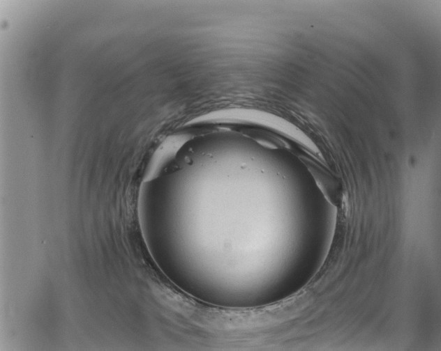 X0000067510037200604101307