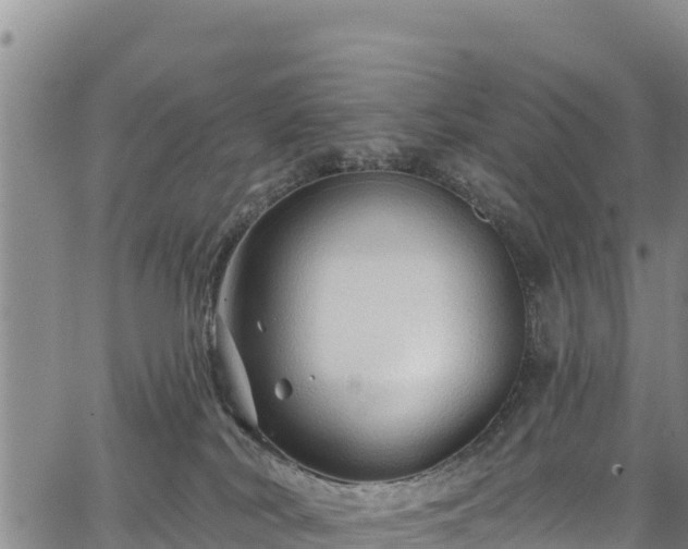 X0000067510038200604101307