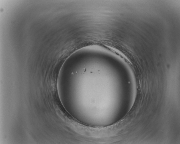 X0000067510039200604101307