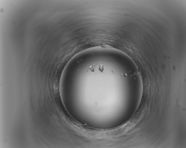 X0000067510040200604101307