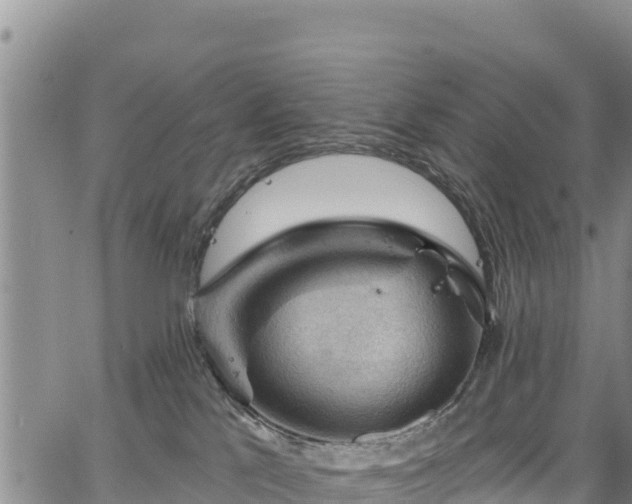 X0000067510041200604101307