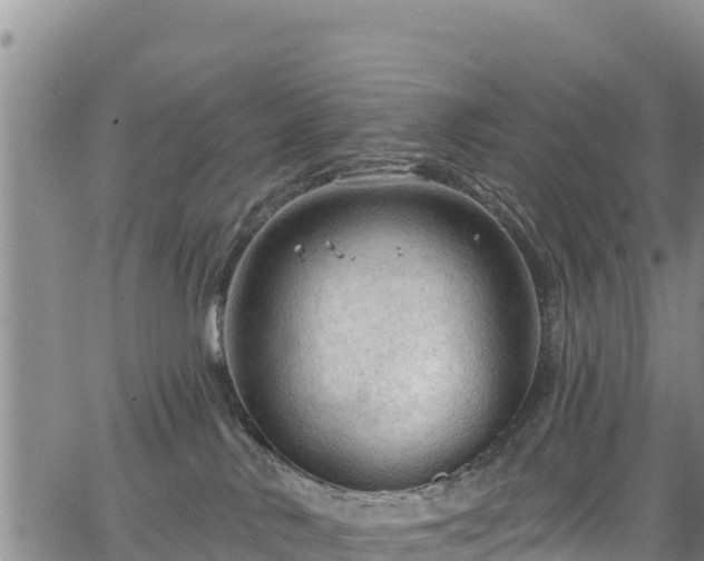 X0000067510042200604101307