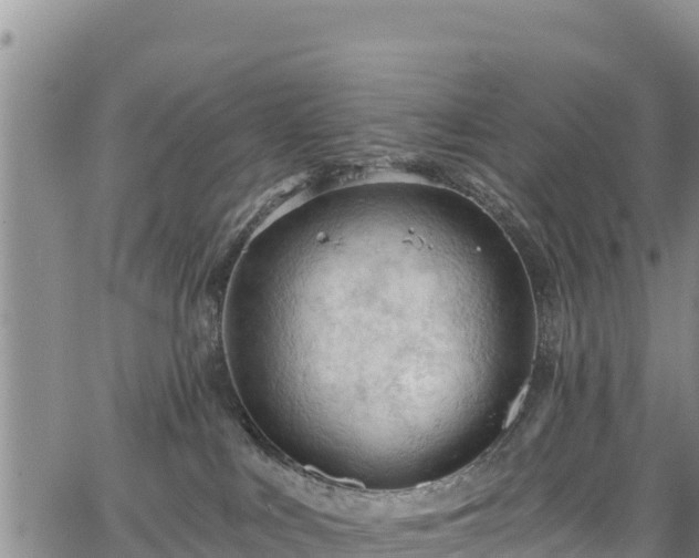 X0000067510043200604101307