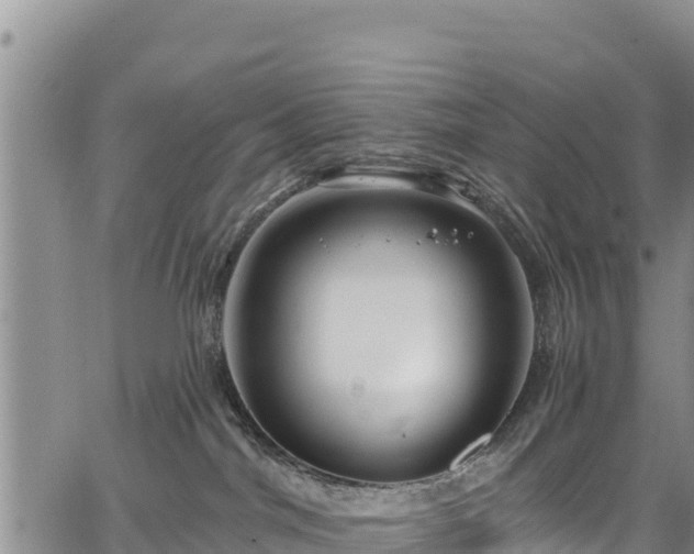 X0000067510044200604101307