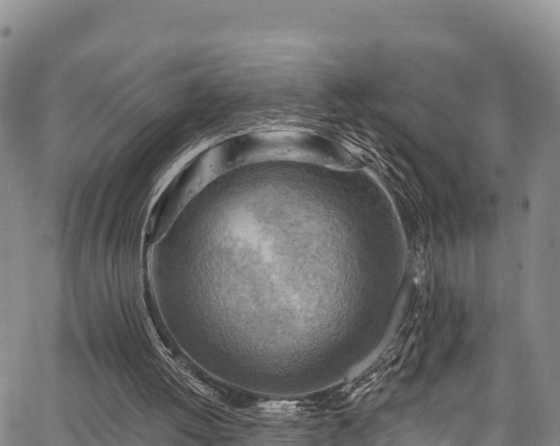 X0000067510052200604101306