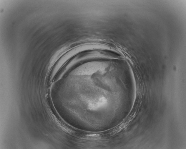 X0000067510053200604101306