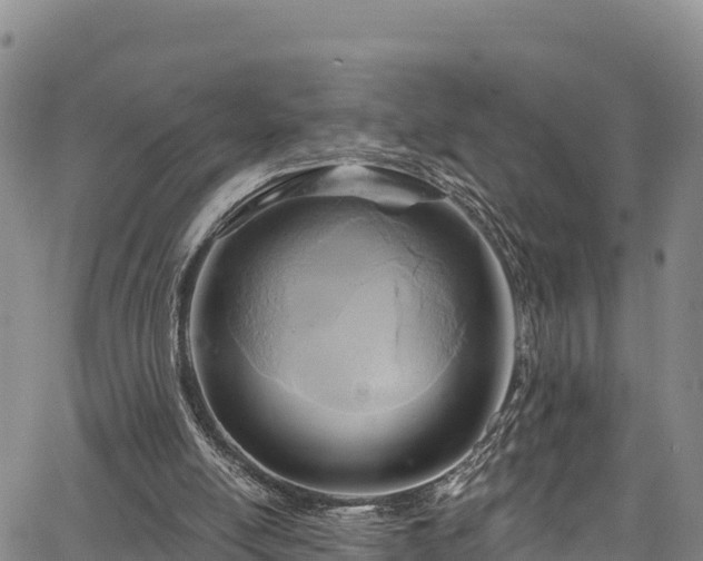 X0000067510054200604101306