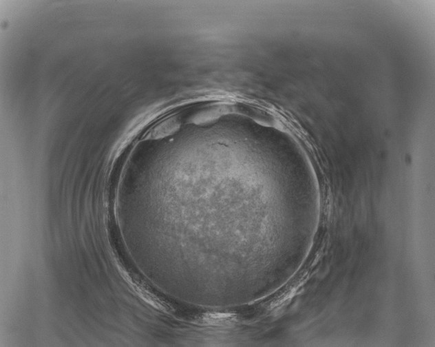 X0000067510055200604101306