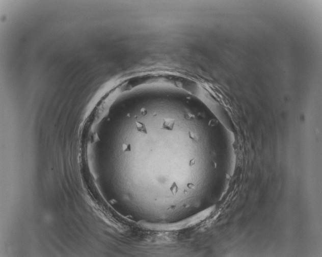 X0000067510056200604101306