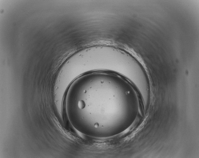 X0000067510057200604101306