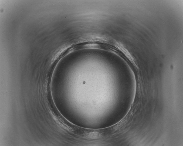 X0000067510058200604101306