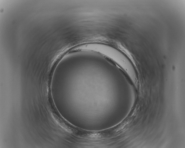 X0000067510059200604101306