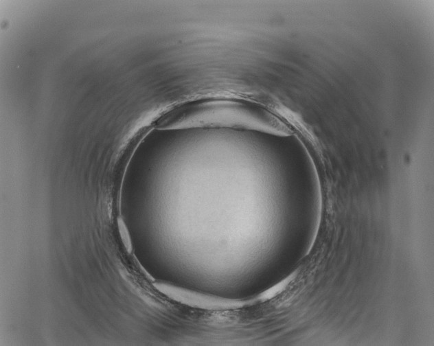 X0000067510060200604101306