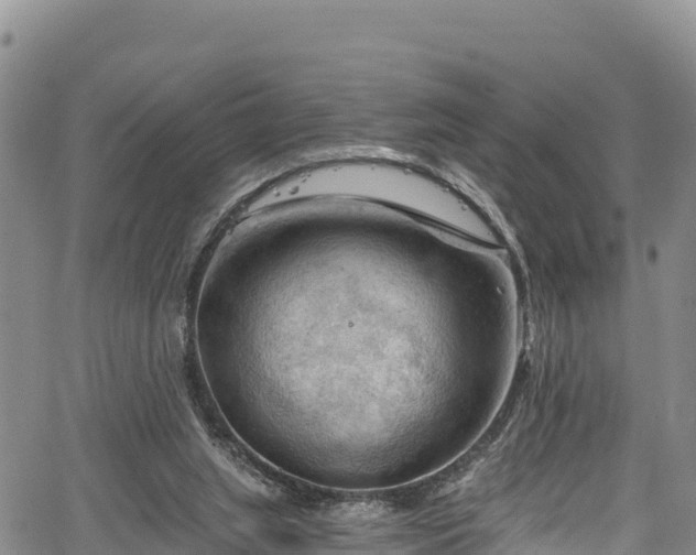 X0000067510063200604101306