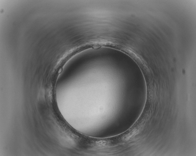 X0000067510064200604101306