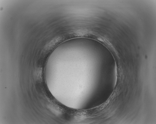 X0000067510066200604101306