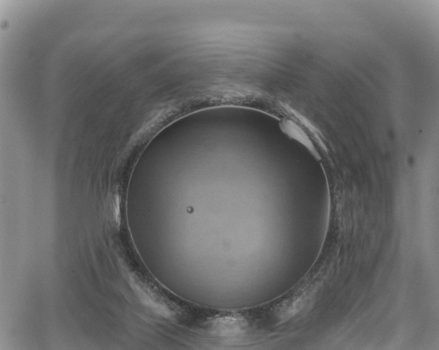 X0000067510067200604101306