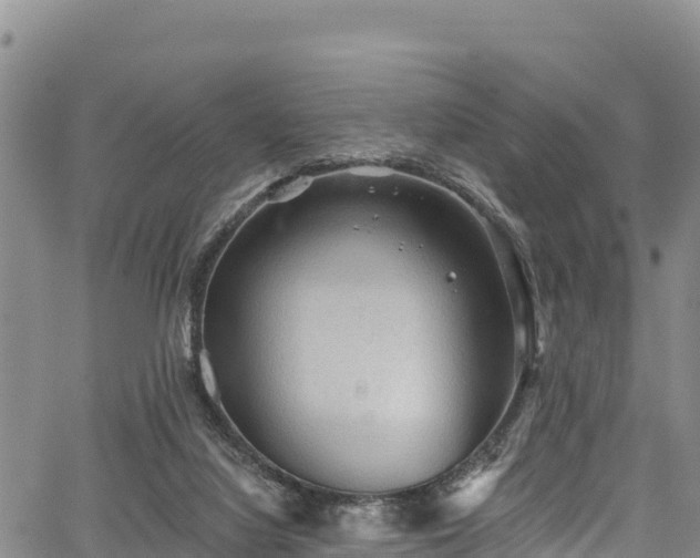 X0000067510068200604101306