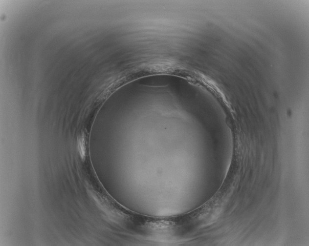 X0000067510069200604101306