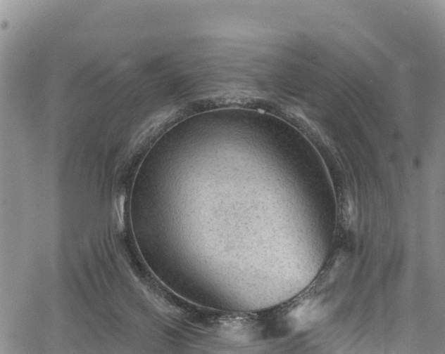 X0000067510070200604101306