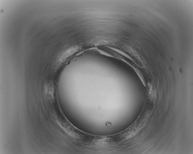 X0000067510072200604101306